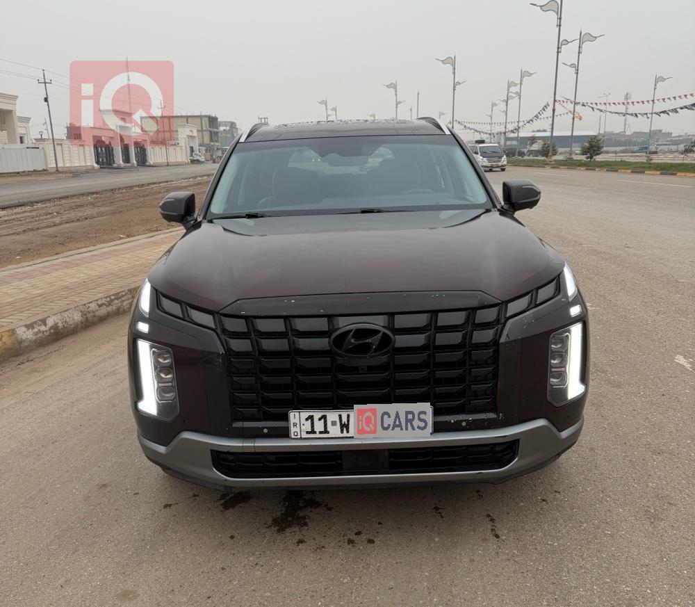 هیۆندای پالیسەید